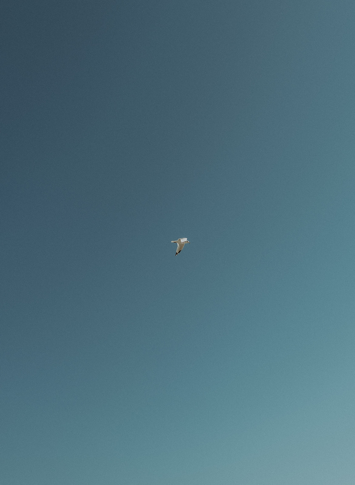 Elopement Locations Tri-State Area